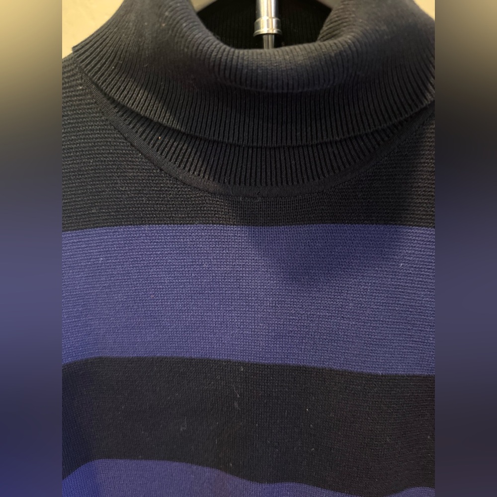 J. Crew Blue and Black Ribbed Turtleneck Sweater Dress - Picture 3 of 6
